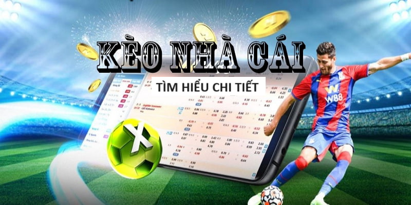 Hướng Dẫn Các Thành Phố Đăng Cai Mỹ Canada Mexico 2026